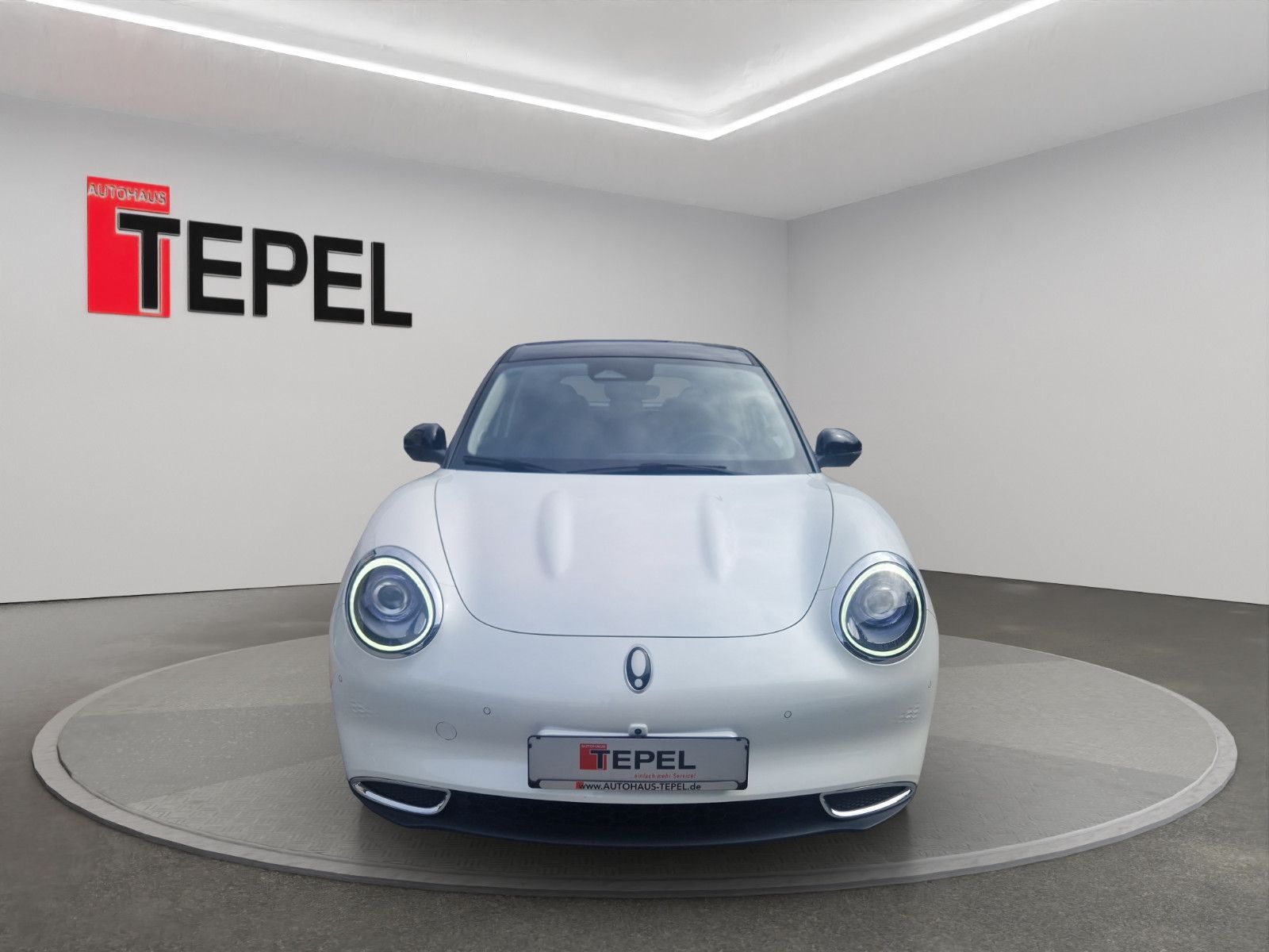 Fahrzeugabbildung GWM ORA 03 - 63kWh 400 PRO+