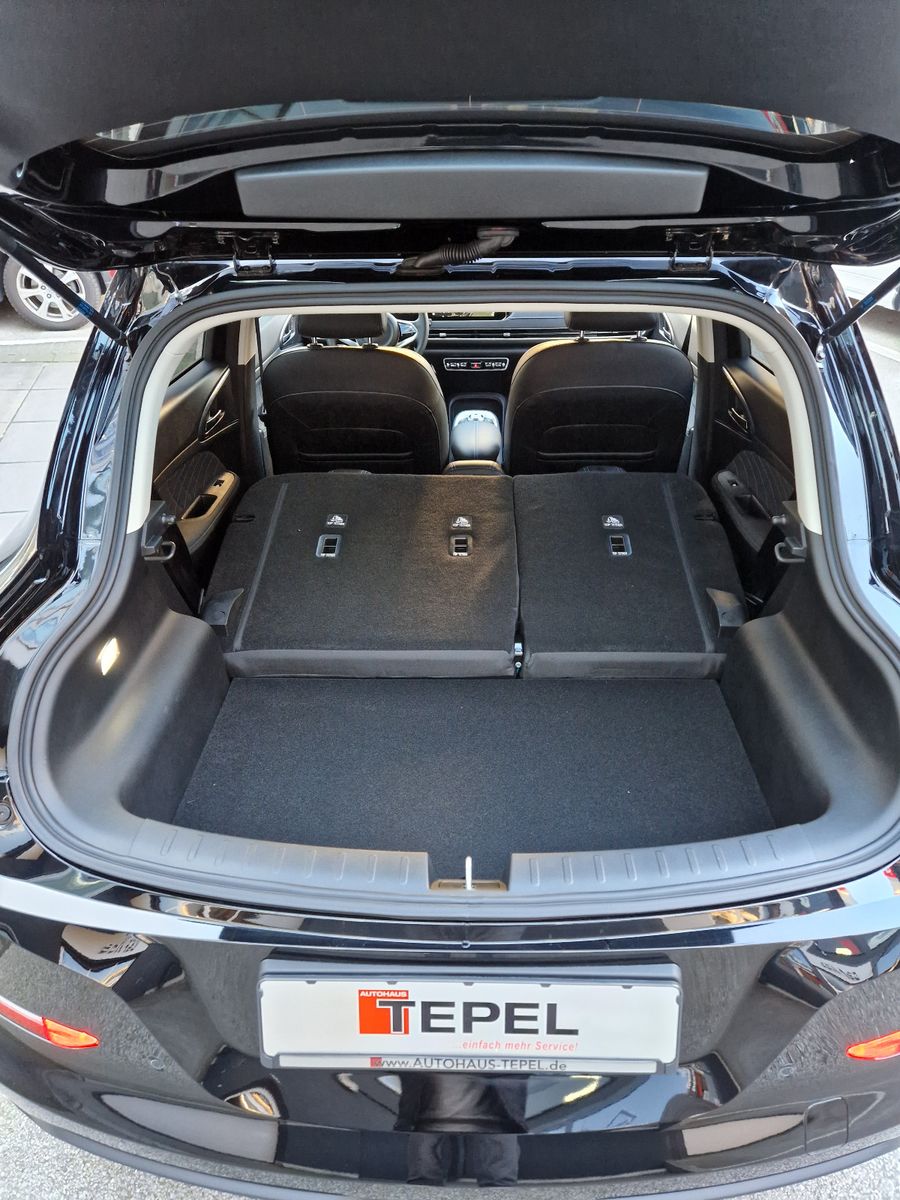Fahrzeugabbildung GWM ORA 03 - 63kWh 400 PRO+