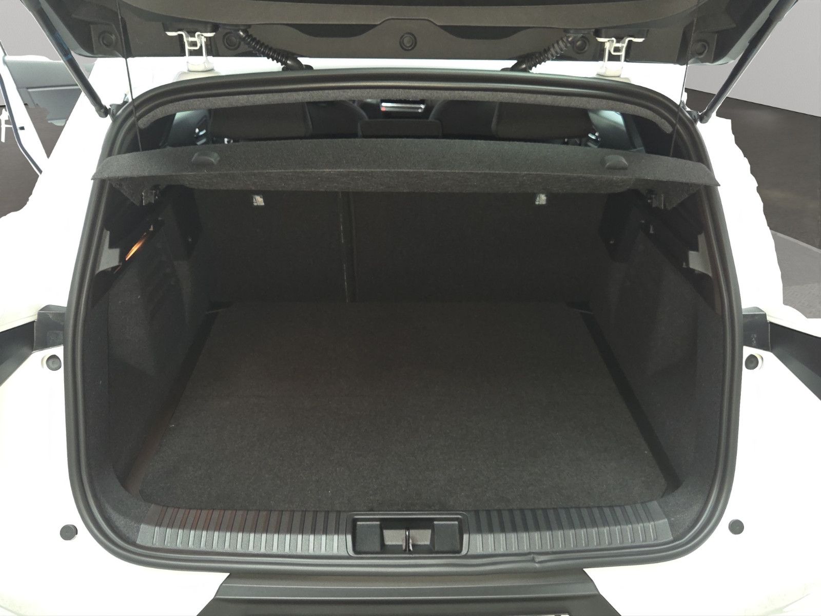 Fahrzeugabbildung Mitsubishi GRANDIS 1.8 DIAMANT PLUS HYBRID